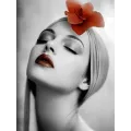Flower in Silence Flower in Silence
