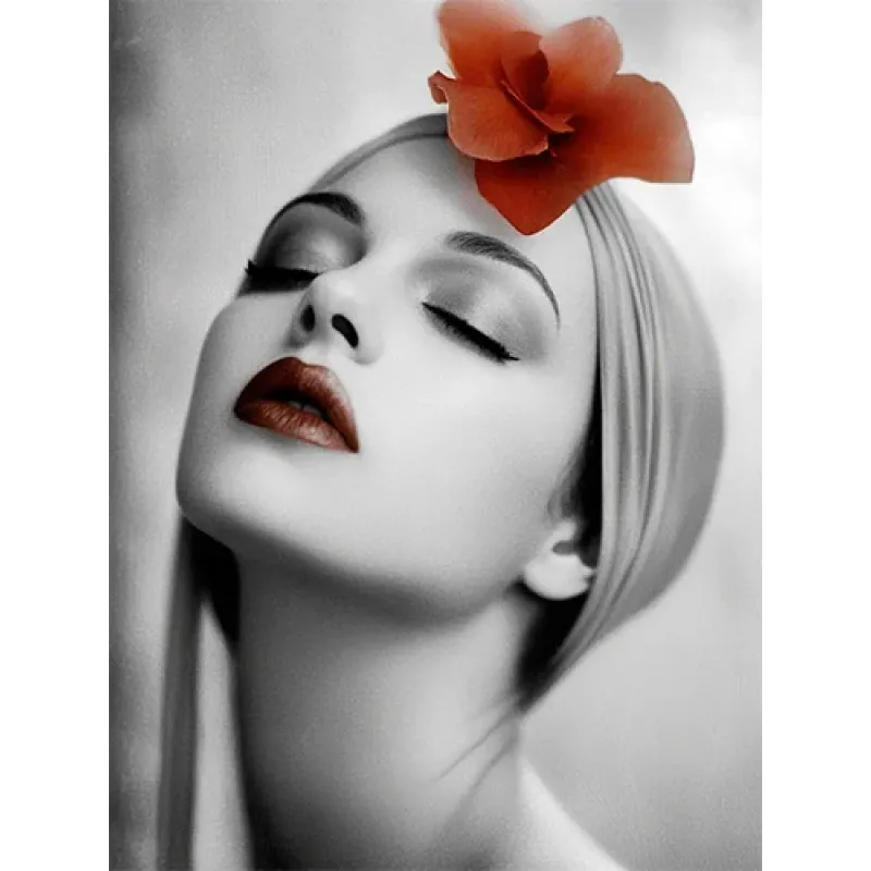 Flower in Silence
