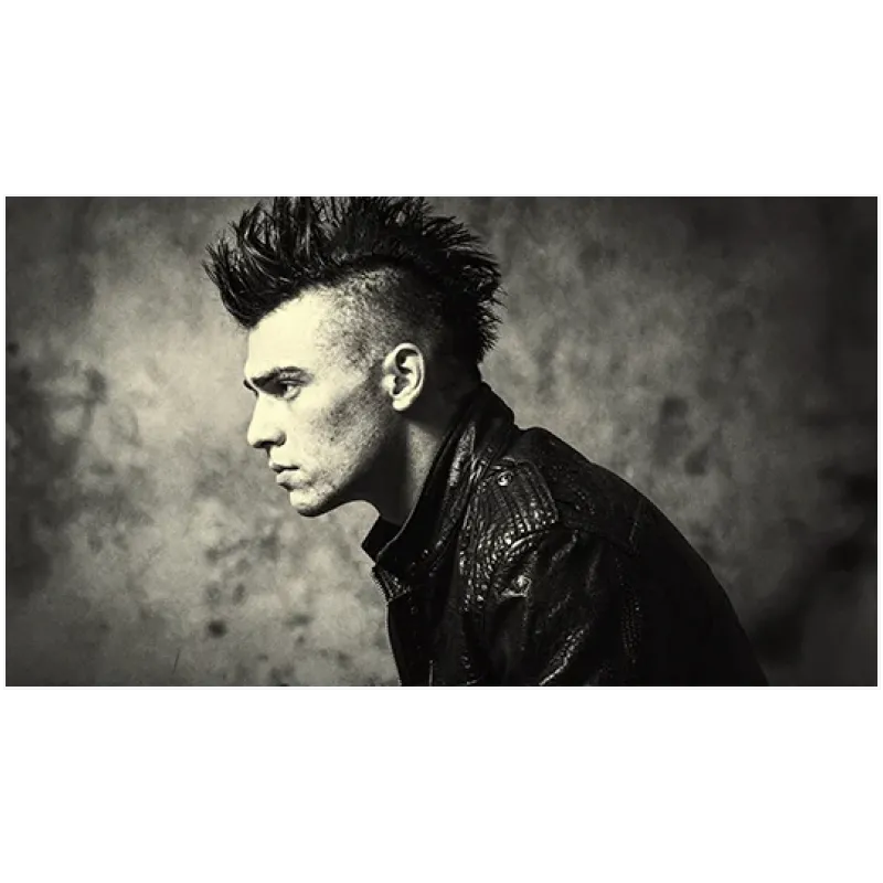 Ασπρόμαυρο Πορτραίτο Άνδρα με Punk Hairstyle