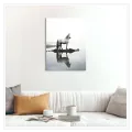 Majestic White Horse Reflection Minimalist Nature Canvas Print