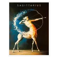 Sagittarius Zodiac Centaur Dynamic Blue Orange