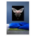 Translucent Ethereal Butterfly Fine Art Canvas Print