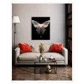 Translucent Ethereal Butterfly Fine Art Canvas Print