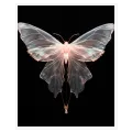 Translucent Ethereal Butterfly Fine Art Canvas Print