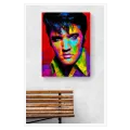 Πορτραίτο Έλβις Πρίσλεϊ Pop Art Πολύχρωμος Πίνακας