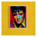 Πορτραίτο Έλβις Πρίσλεϊ Pop Art Πολύχρωμος Πίνακας