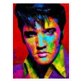Πορτραίτο Έλβις Πρίσλεϊ Pop Art Πολύχρωμος Πίνακας