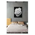 Black and White Rose Droplets Romantic Canvas