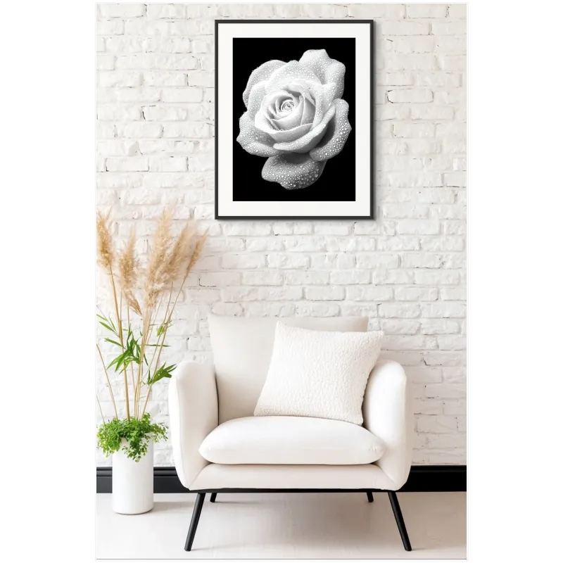 Black and White Rose Droplets Romantic Canvas