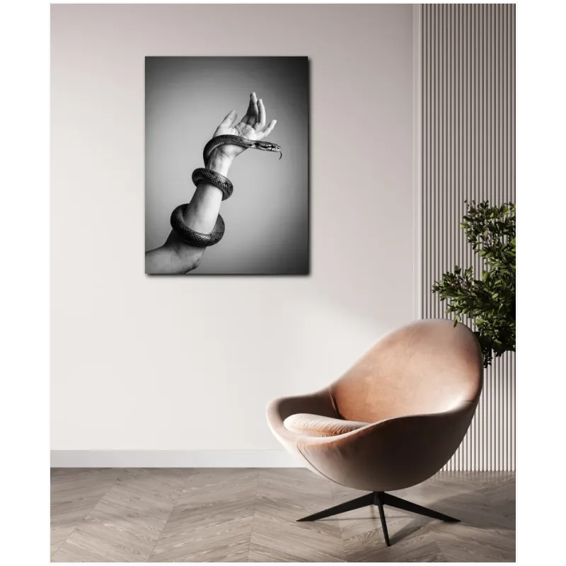 Snake Entwined Around Arm Black and White Photography