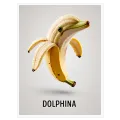 Dolphina Banana Surreal Playful 3D Digital Art