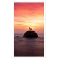 Deer Silhouette on Rock Ocean Sunset Orange