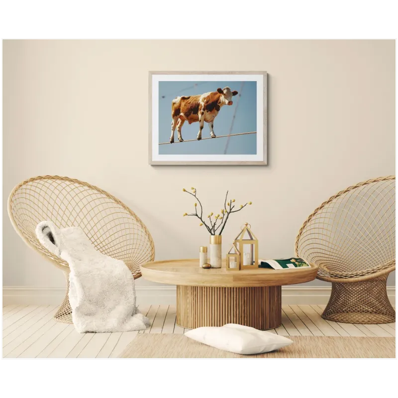Cow On Tightrope Surreal Fine Art Blue