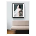 Female Portrait Fine Art Veil Ethereal White Grey