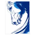 Blue Horse Line Art Minimalist Canvas Print