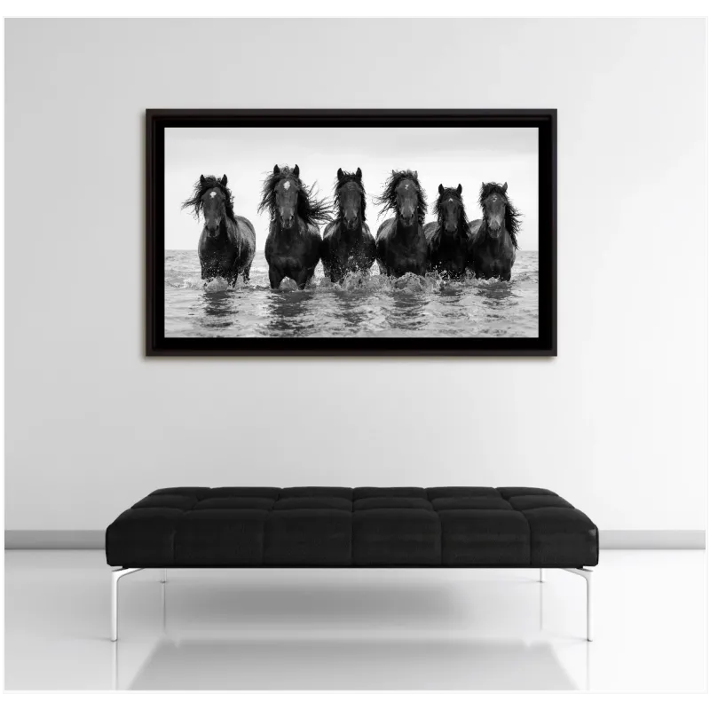 Άγρια Άλογα στη Θάλασσα Ασπρόμαυρο Φωτογραφικό Πίνακα
