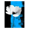 White Flower Modern Abstract Composition Blue
