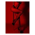 Γυναικεία Σιλουέτα Pole Dance Αισθησιακή Κόκκινο Φόντο