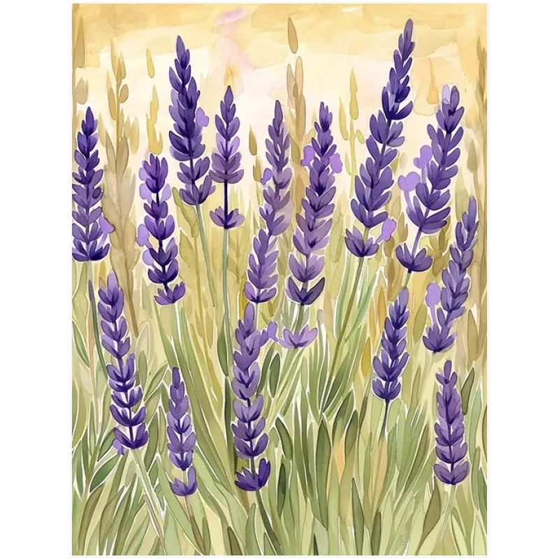 Λαβάνδα - Ακουαρέλα Φύση