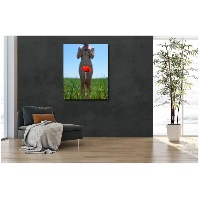 Female Nude Silhouette with Poppy in Field