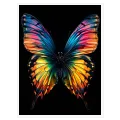 Vibrant Rainbow Butterfly on Black Background Canvas Art