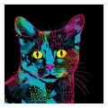 Ψυχεδελική Γάτα Pop Art Neon Χρώματα