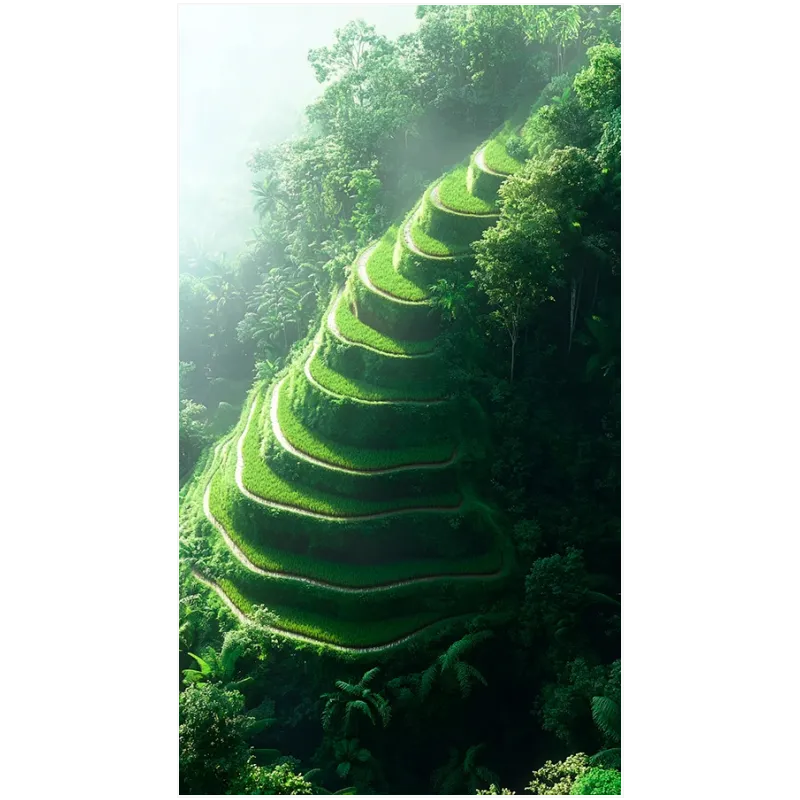 Lush Green Terraced Rice Fields Tropical Landscape