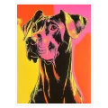Πορτραίτο Σκύλου Pop Art Neon σε Ροζ Κίτρινο