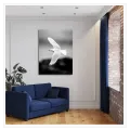 Majestic White Seagull in Flight Fine Art Monochrome