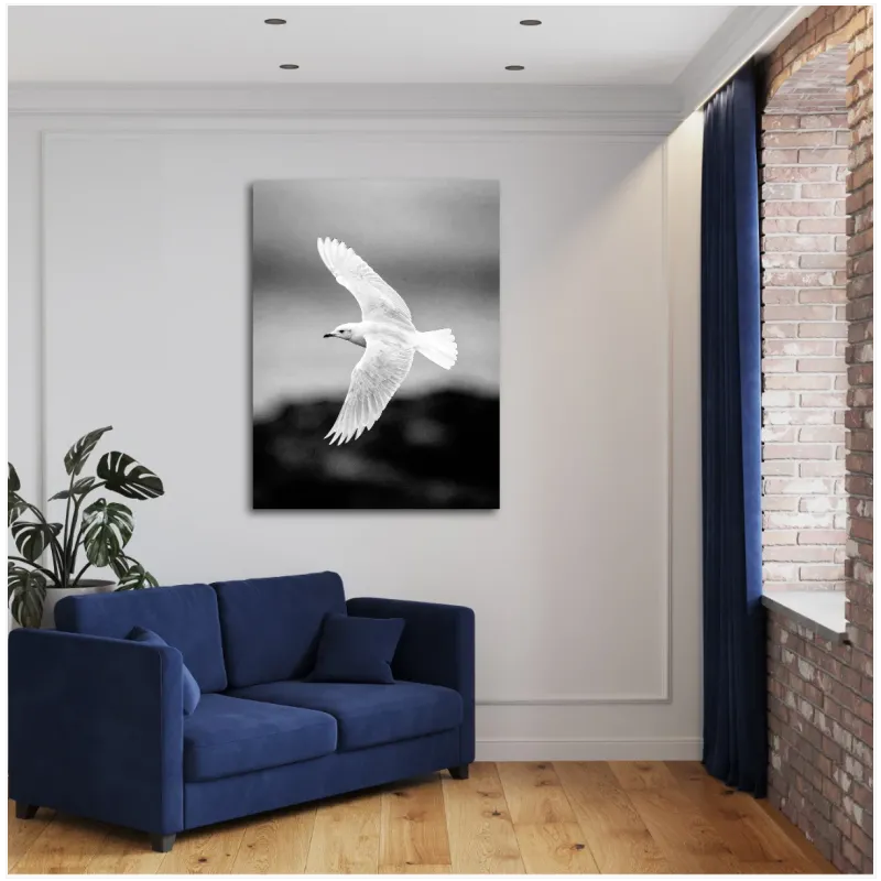 Majestic White Seagull in Flight Fine Art Monochrome