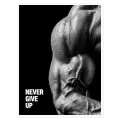 Γυμνασμένος Βραχίονας Never Give Up Ασπρόμαυρο