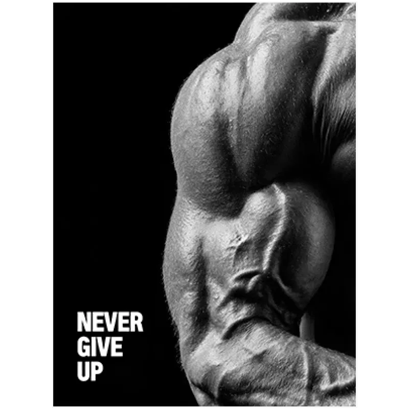 Γυμνασμένος Βραχίονας Never Give Up Ασπρόμαυρο