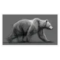 Dynamic Bear Scribble Line Art In Charcoal Grey