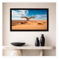 Majestic Eagle Flying Over Golden Desert Dunes