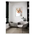 Μικρό Γιορκσάιρ Τεριέ Με Πετσέτα Φωτογραφικός Πίνακας Σε Λευκό