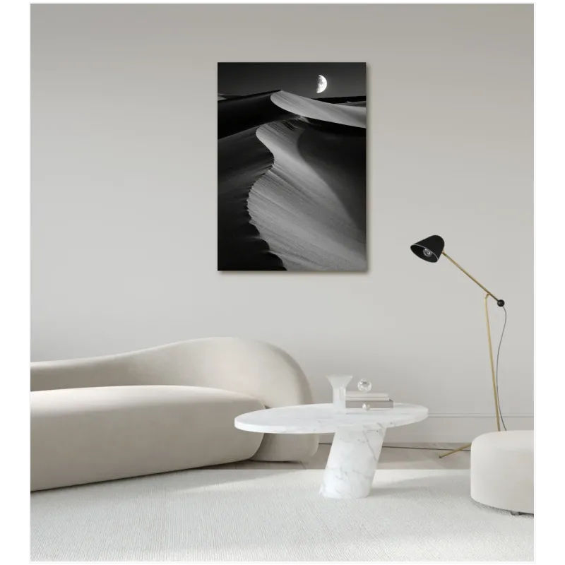 Desert Dunes with Moon Black White Landscape