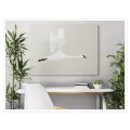Λευκός Κύκνος σε Πτήση Minimal Design