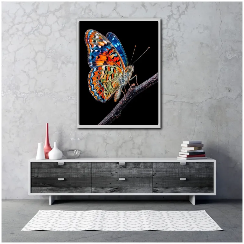 Vibrant Colorful Butterfly on Branch Black Background Canvas Art