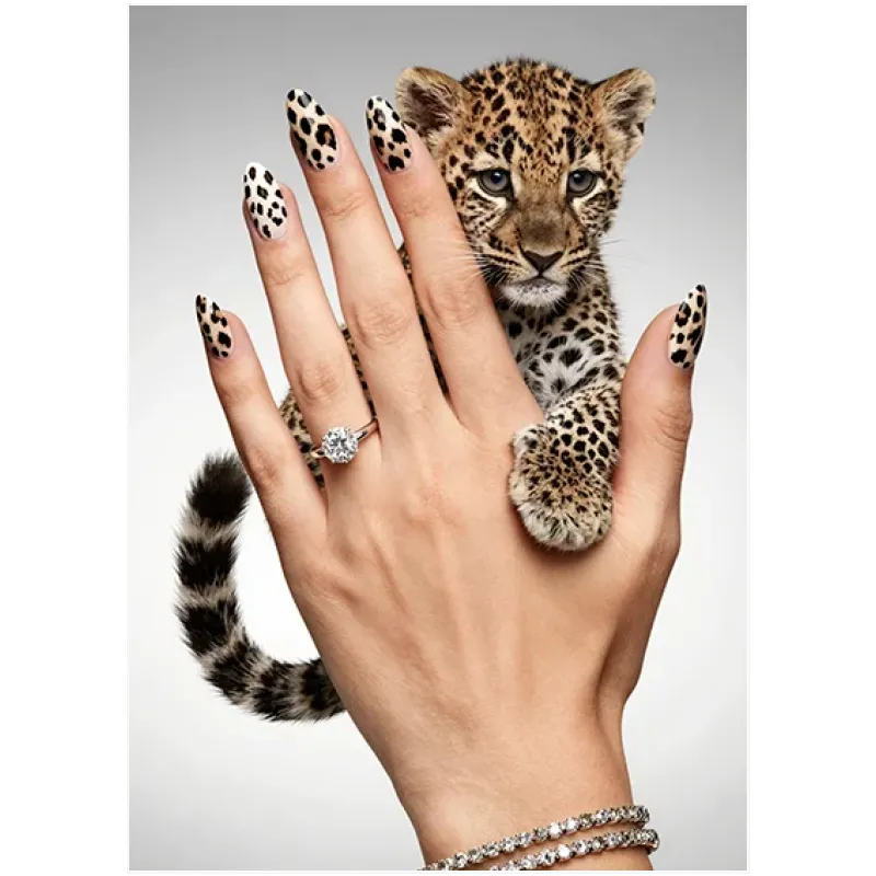 Μικρή Λεοπάρδαλη με Animal Print Νύχια