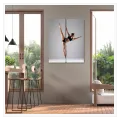 Ακροβατική Γυναίκα Pole Dancer Δυναμική Φωτογραφία σε Γκρι Φόντο