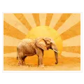 Majestic Elephant Safari Sun Retro Yellow