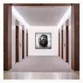 Roaring Lion Dynamic Black and White Wildlife Artwork