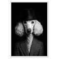 The Gallant Poodle The Gallant Poodle