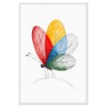 Colorful Flight