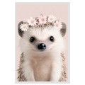 Blossom Hedgehog Blossom Hedgehog