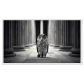 Guardian of Columns