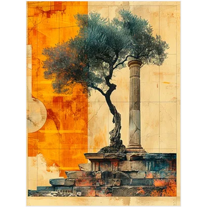 Ρίζες και Στήριγμα